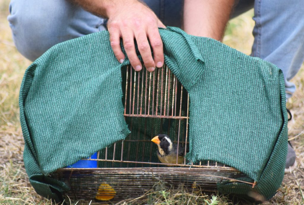 Adelanto-Dia-del-Animal.jpg