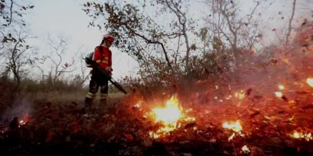 depositphotos_506734258-stock-video-fireman-blowing-leaves-and-debris.jpg