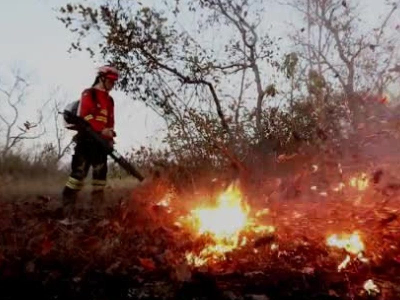 depositphotos_506734258-stock-video-fireman-blowing-leaves-and-debris.jpg