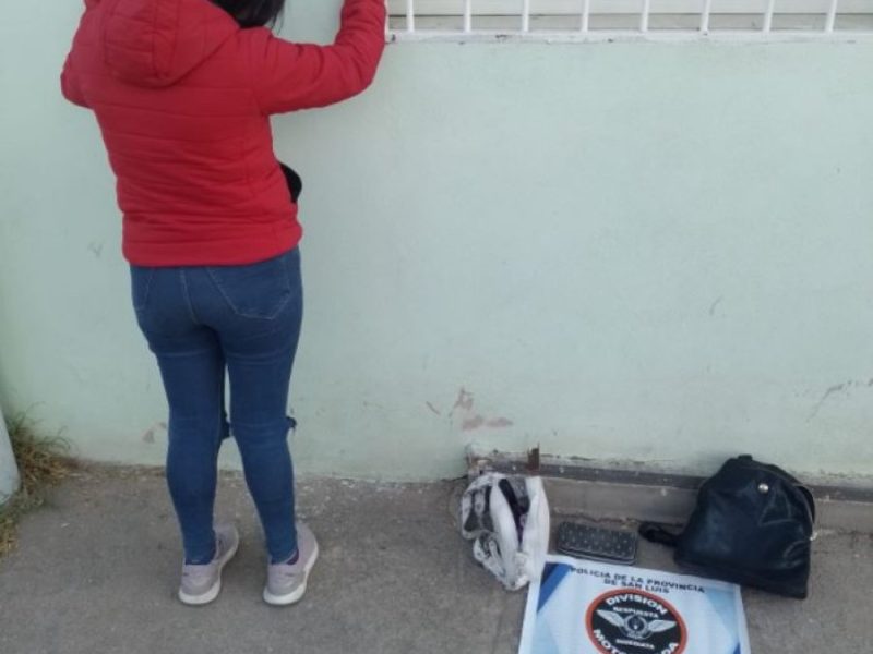 pinguinista.JPG