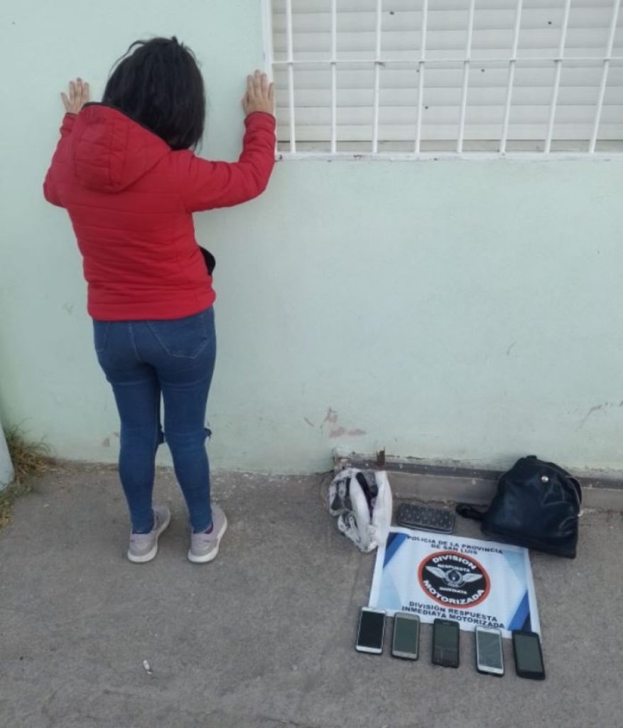 pinguinista.JPG