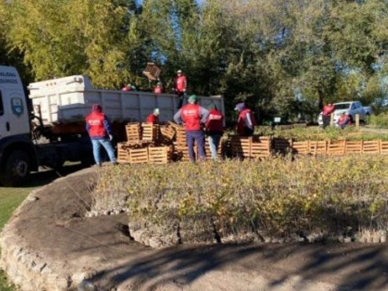 Imagen-principal-Cuarta-y-quinta-entrega-630x426.jpg