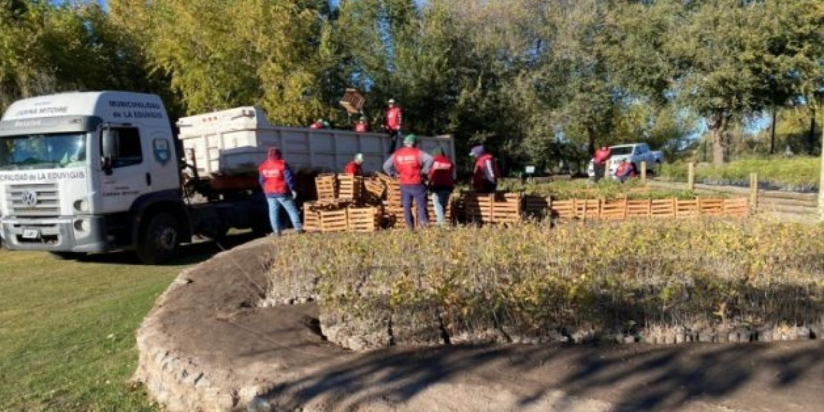 Imagen-principal-Cuarta-y-quinta-entrega-630x426.jpg