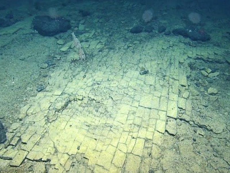 una-expedicion-submarina-al-norte___xAKOTwPgT_720x0__1.jpg