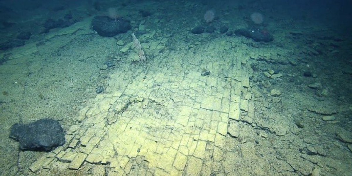 una-expedicion-submarina-al-norte___xAKOTwPgT_720x0__1.jpg