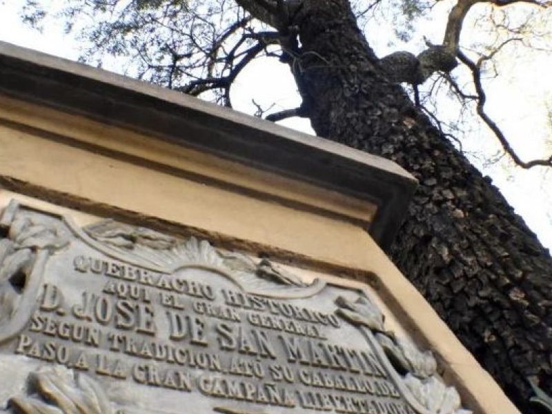 IMG-quebracho.jpg