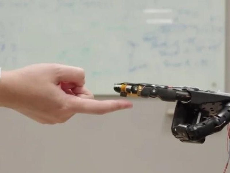 WhatsApp Image 2022-06-25 at 5.29.48 PM.jpeg