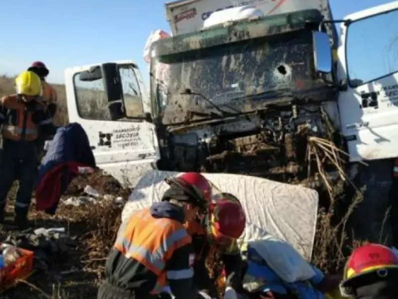 camionero.png