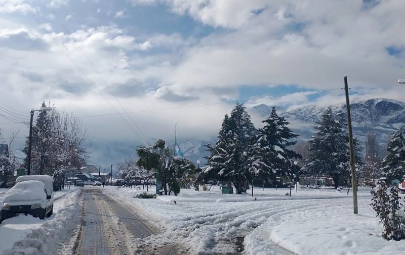 62dc79ec863d4_900.jpg