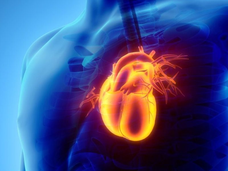 Corazon-izquierda.jpg