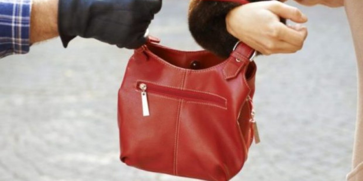 robo-cartera.jpg