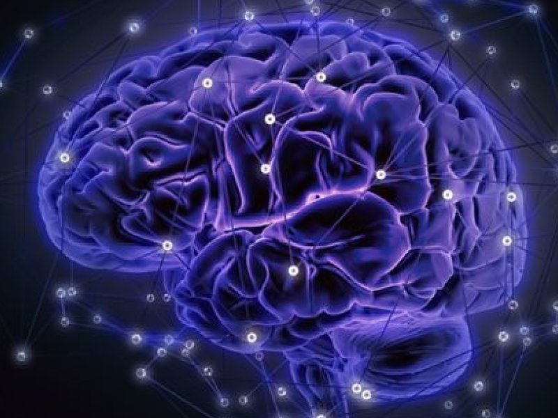 20211216170346_cerebro-conectividad_foto610x342.jpg