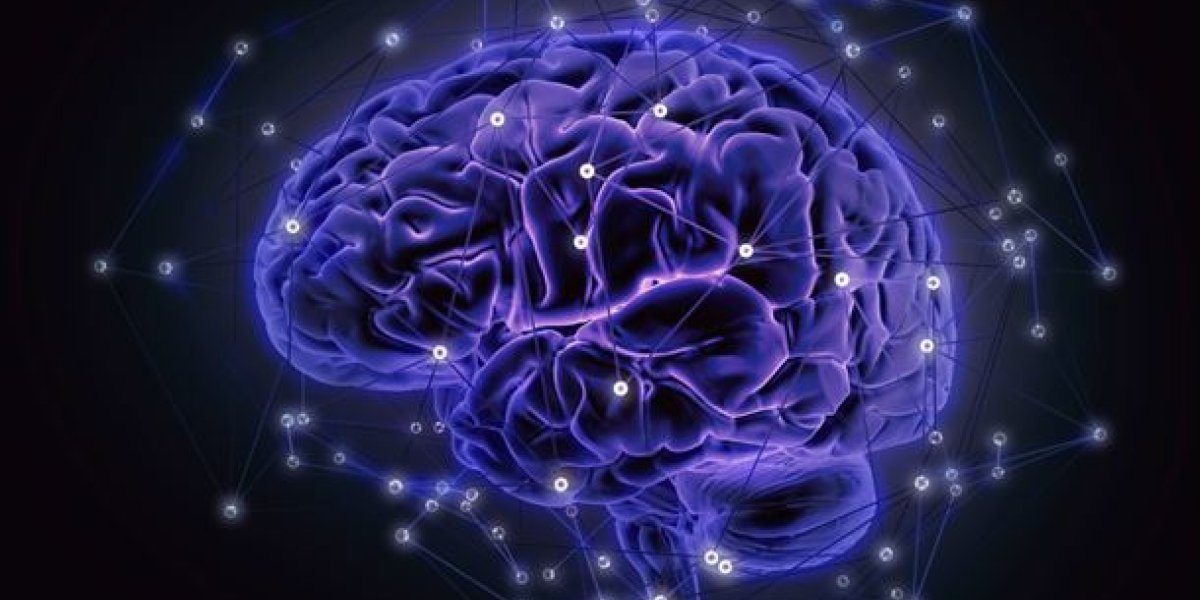 20211216170346_cerebro-conectividad_foto610x342.jpg