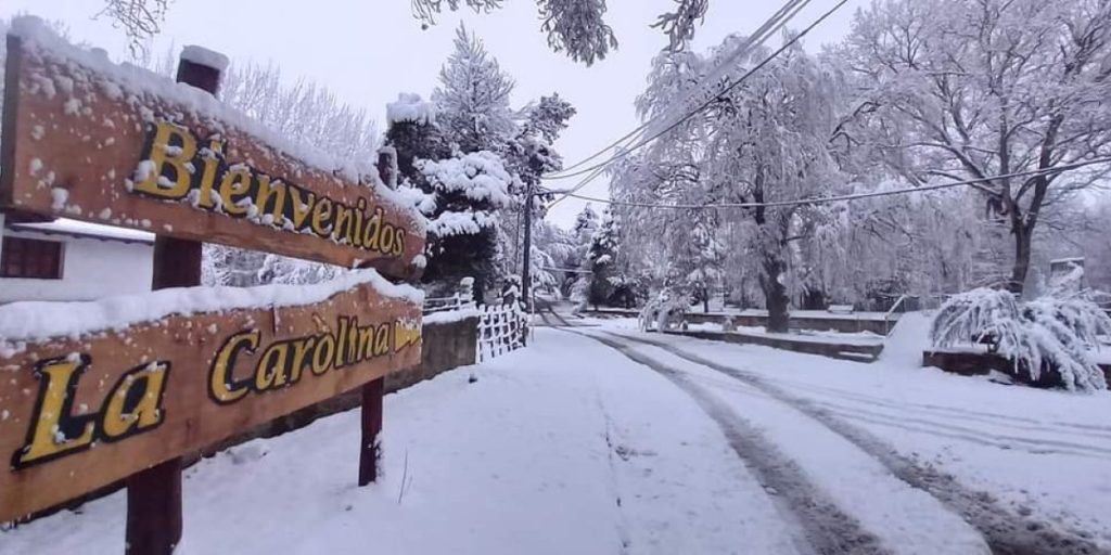 WhatsApp Image 2022-08-08 at 11.10.25 AM.jpeg