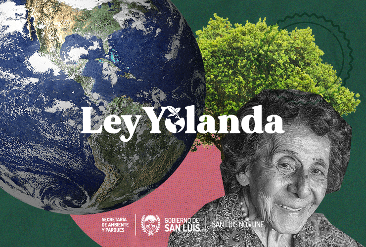 Imagen-Nota-Ley-Yolanda.jpg