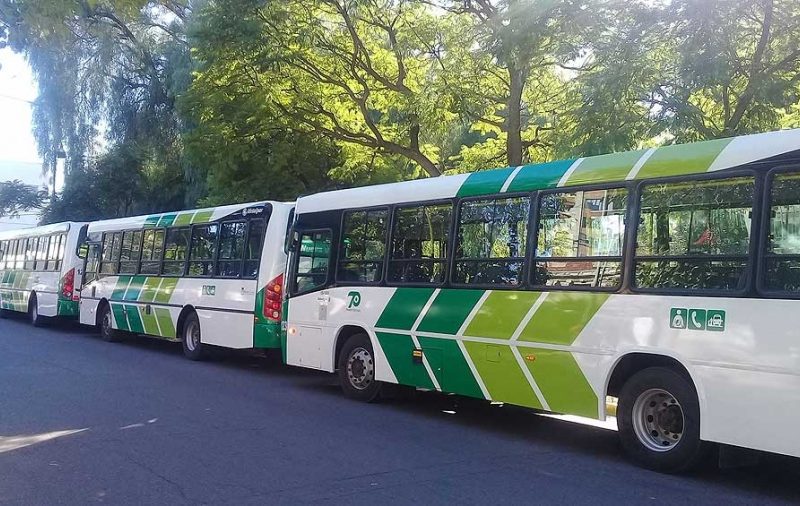 UTA SAN LUIS TRANSPORTE.jpg