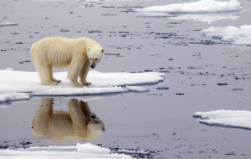 cambio-climatico-2.jpg
