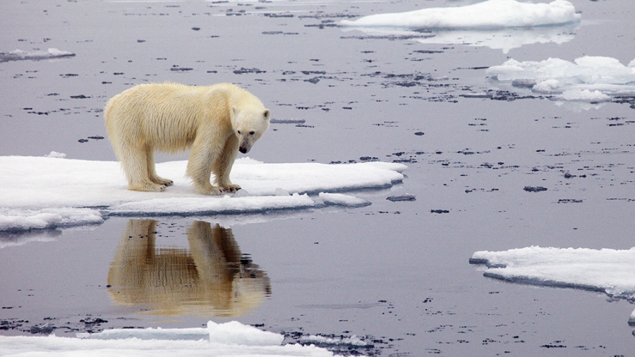 cambio-climatico-2.jpg
