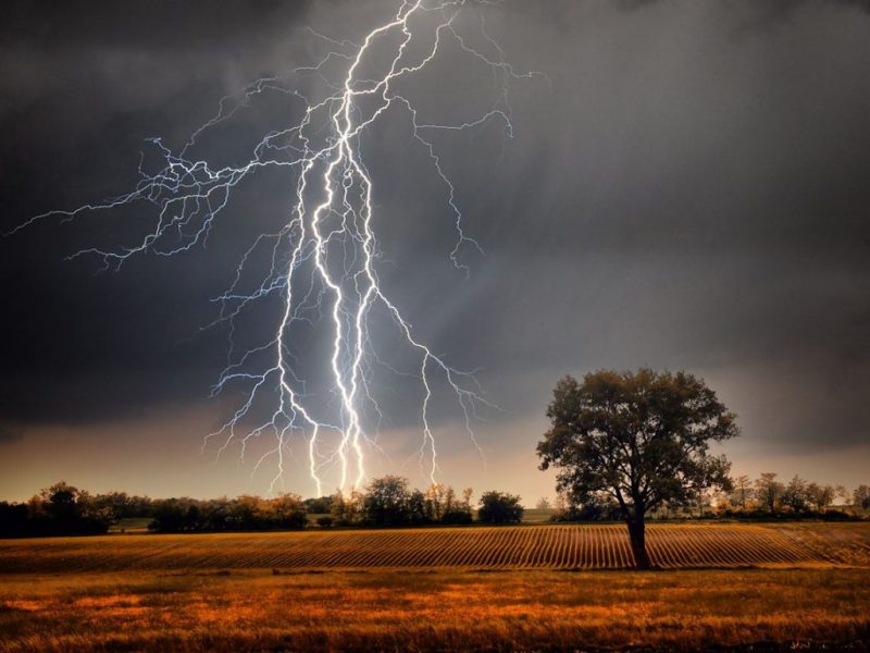 tormenta-arbol_0-1024x768.jpg