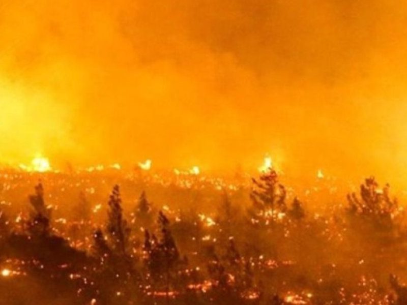 incendios.jpg