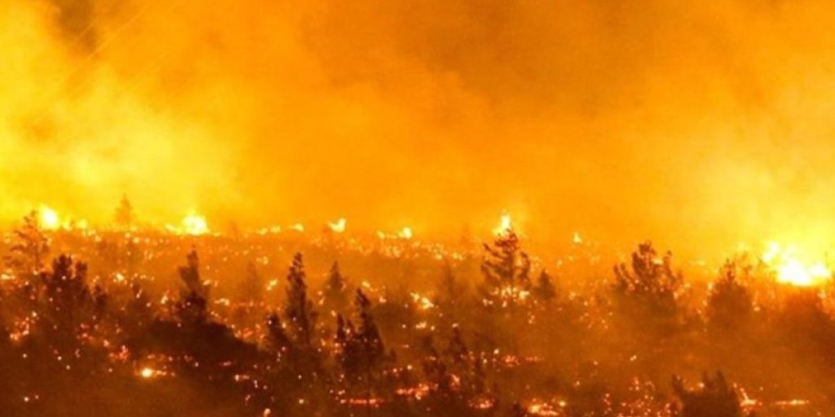 incendios.jpg