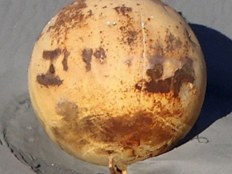 lFyKhHjaM_1256x620__1.jpg