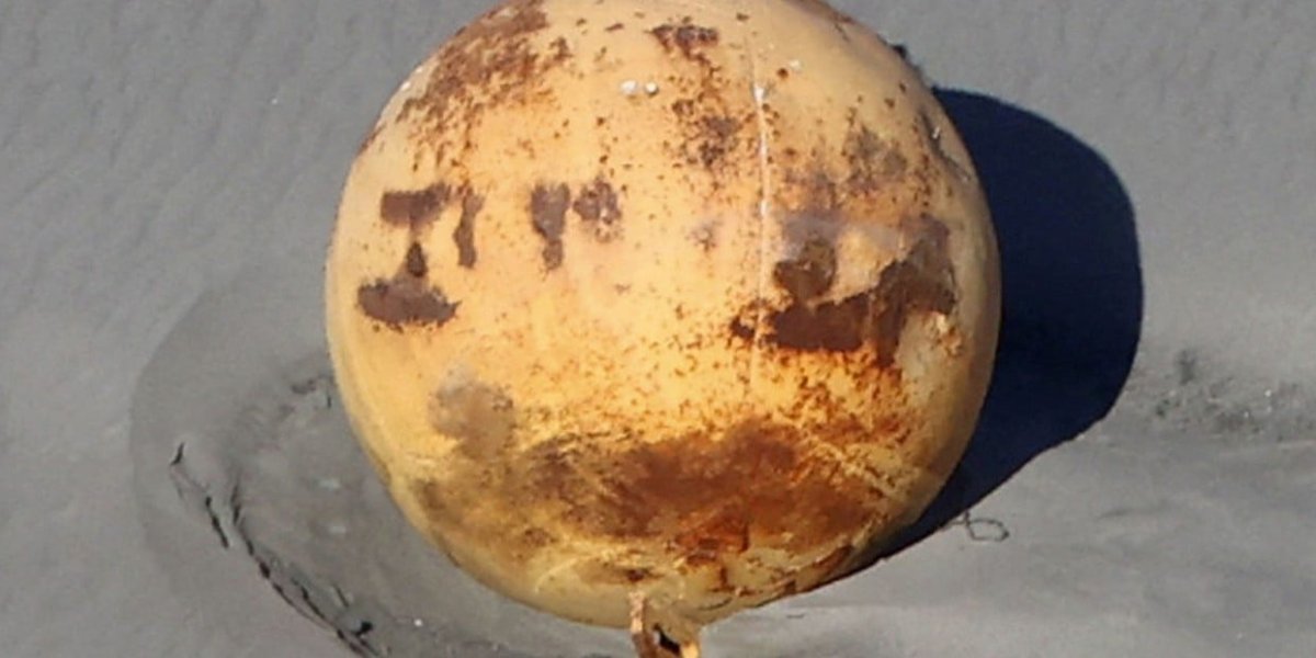 lFyKhHjaM_1256x620__1.jpg