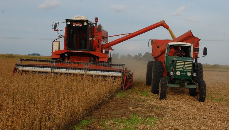 Agronomia en Argentina