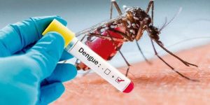 Dengue-1.jpg