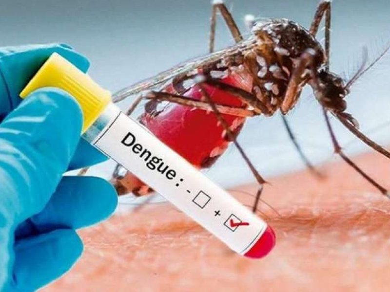 Dengue-1.jpg
