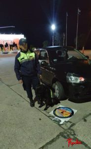 policia perro.jpg