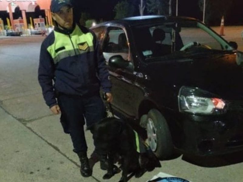 policia perro.jpg