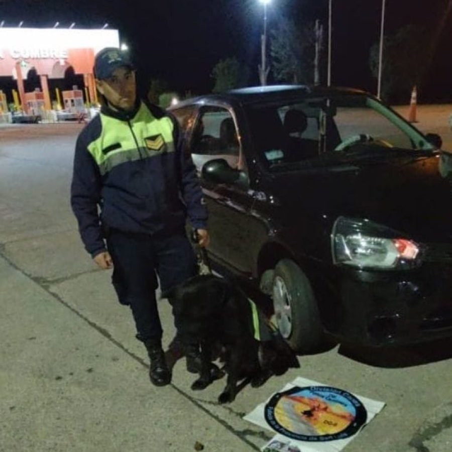 policia perro.jpg