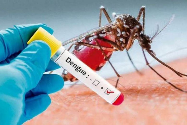 68086-de-mas-de-200-sospechosos-de-dengue-se-confirmaron-tres-casos.jpg