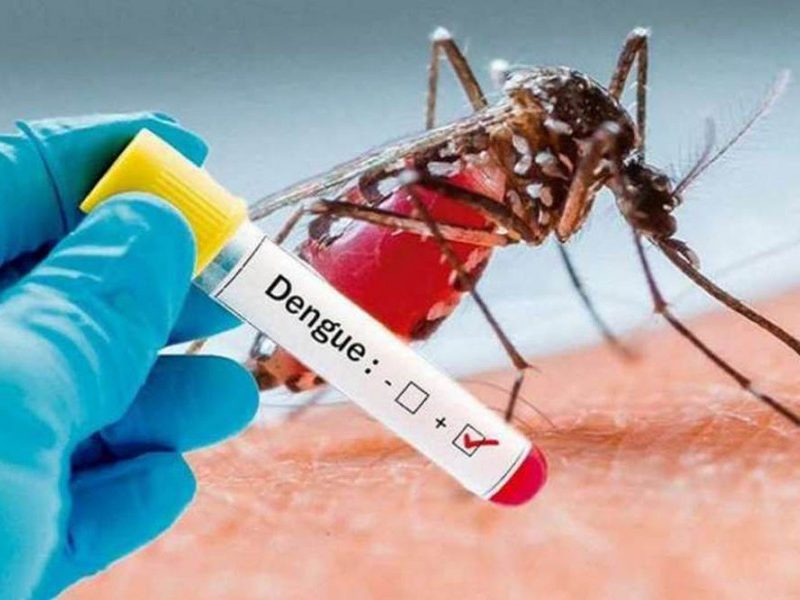 68086-de-mas-de-200-sospechosos-de-dengue-se-confirmaron-tres-casos.jpg