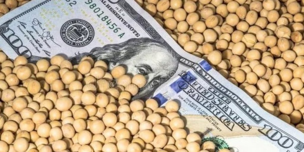 dolar-soja-1.jpg