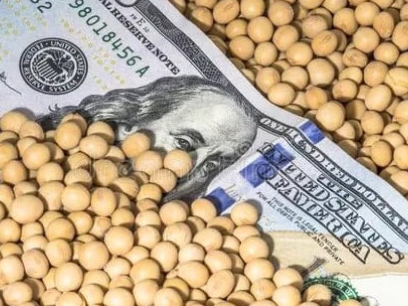 dolar-soja-1.jpg