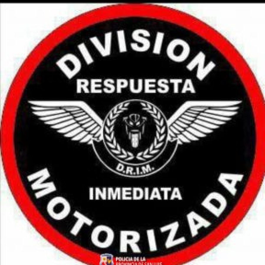 ESCUDO-DRIM-288x300-1.jpeg