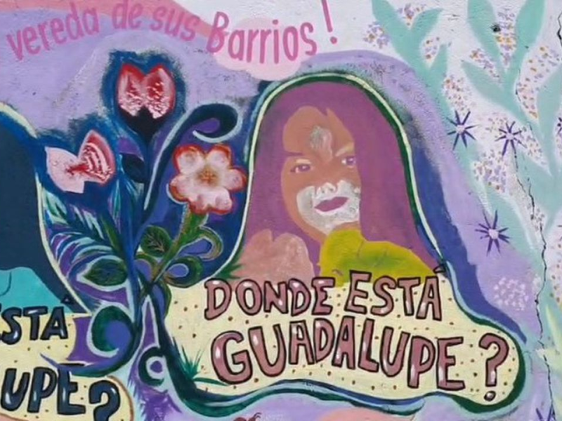 Guadalupe.png