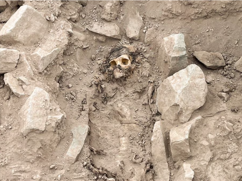 momia peru.PNG