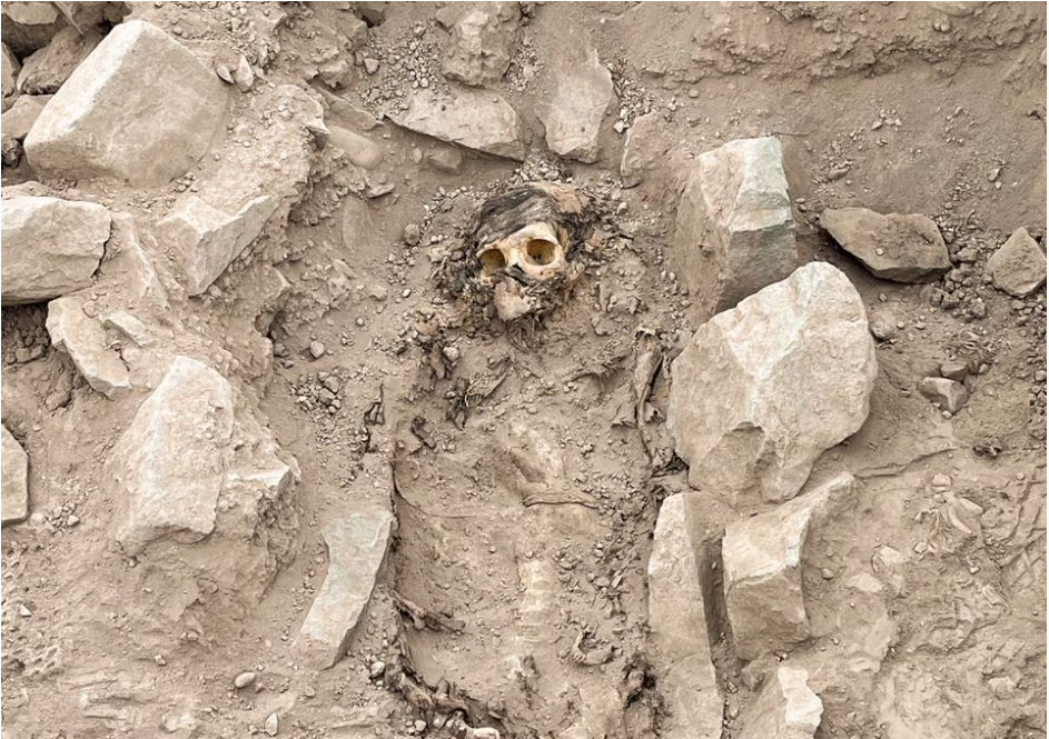 momia peru.PNG