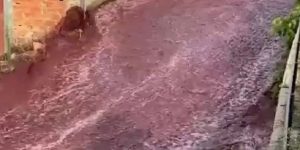 VINO-TINTO-RIO.jpg