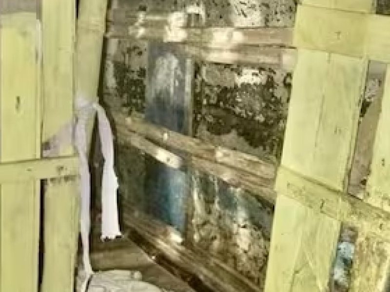 en-venezuela-un-nino-de-13-anos-estaba-S5QCAOYHCVH63EG6OB4BGLAU3U.jpg