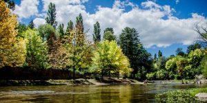 16037372200-trapiche-773x458.jpg