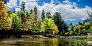 16037372200-trapiche-773x458.jpg