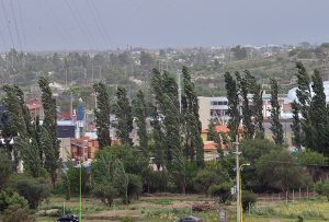 MLA_6374.jpg