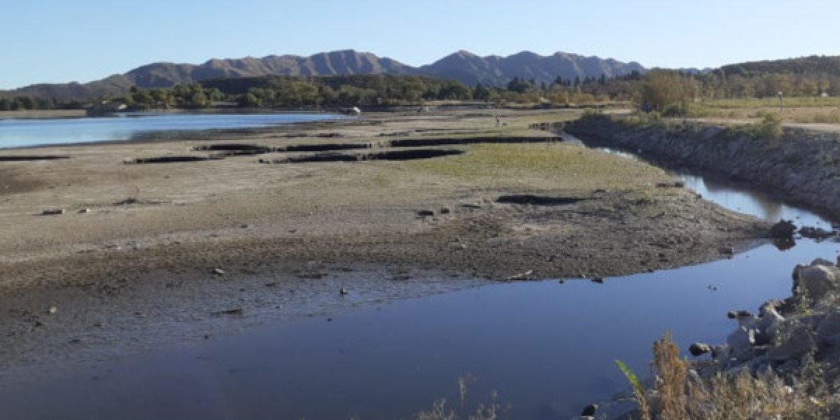 WhatsApp Image 2023-10-02 at 11.58.46.jpeg