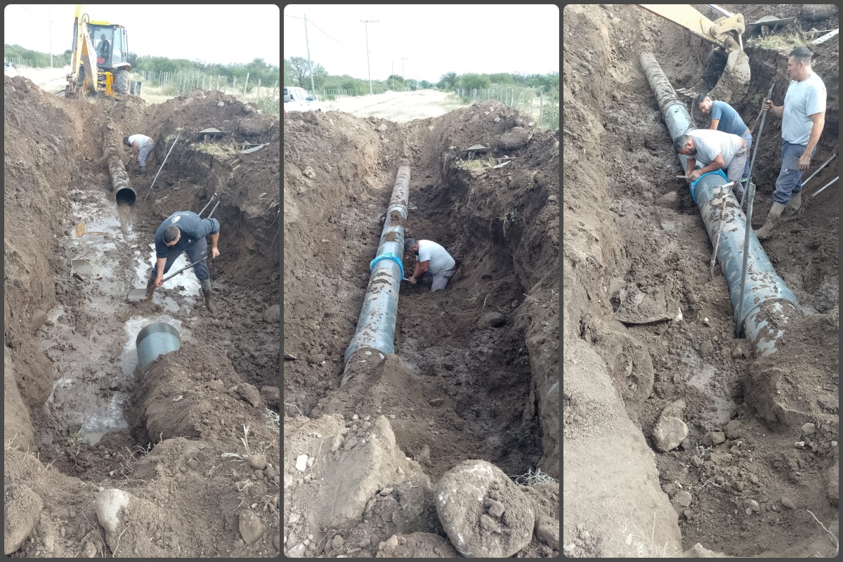 Rep.-Ac.-ProdBelg.-1.jpg