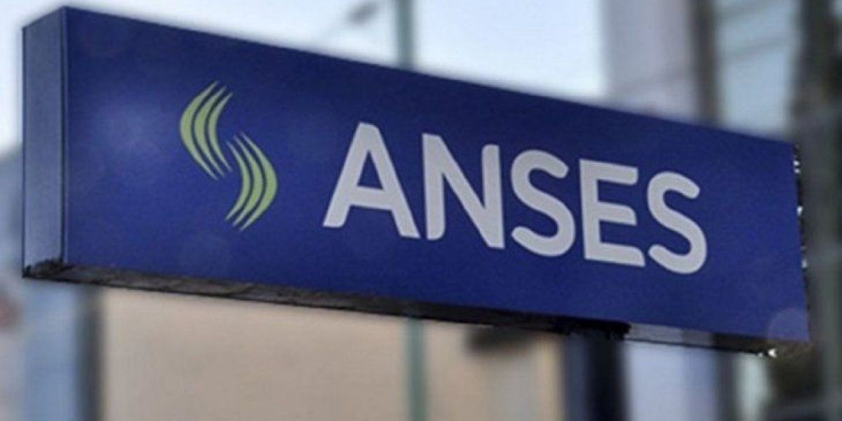 anses-fotopng.jpeg