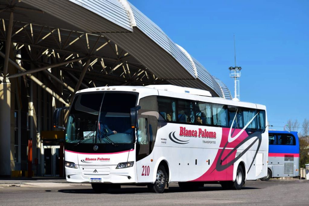 San-Luis-Blanca-Paloma-210-1.jpg